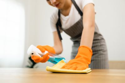 Monthly Maid Service in Sanford, FL